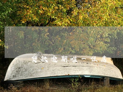贷款逾期唯一住房 贷款逾期唯一住房