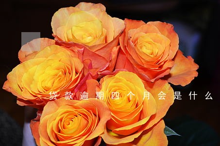 贷款逾期四个月会是什么结果 贷款逾期四个月会是什么结果