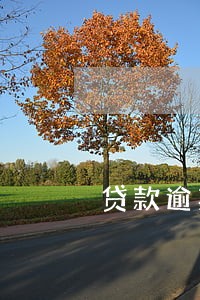 贷款逾期四个月没钱还怎么办 贷款逾期四个月没钱还怎么办