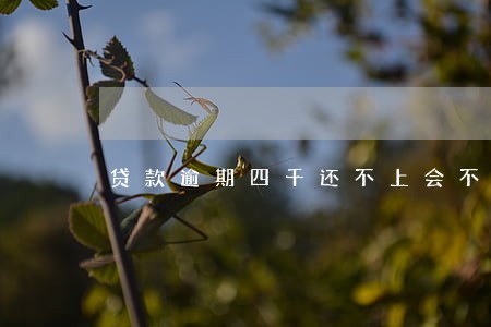 贷款逾期四千还不上会不会坐牢 贷款逾期四千还不上会不会坐牢