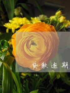 贷款逾期四天