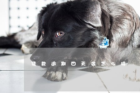 贷款逾期四天会怎么样 贷款逾期四天会怎么样