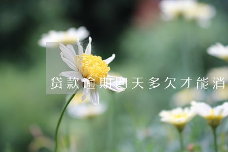 贷款逾期四天多欠才能消除 贷款逾期四天多欠才能消除