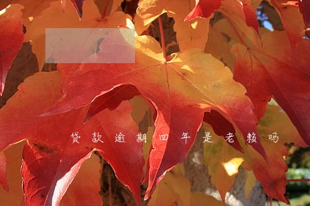 贷款逾期四年是老赖吗 贷款逾期四年是老赖吗