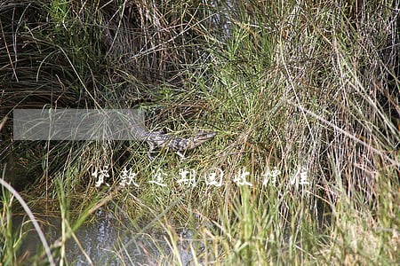 贷款逾期回收标准 贷款逾期回收标准