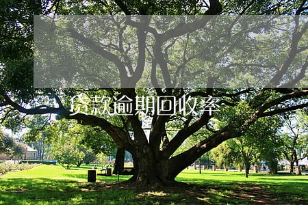 贷款逾期回收率 贷款逾期回收率