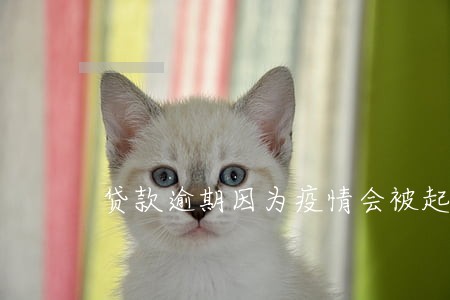 贷款逾期因为疫情会被起诉吗 贷款逾期因为疫情会被起诉吗