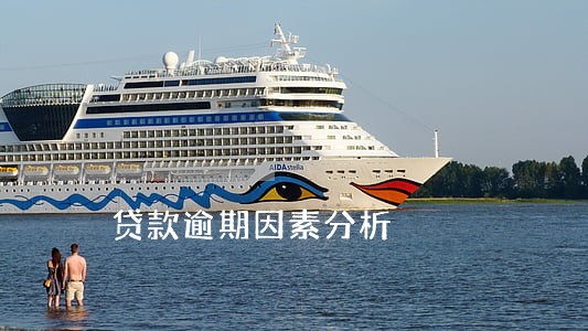贷款逾期因素分析 贷款逾期因素分析