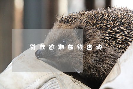 贷款逾期在线咨询 贷款逾期在线咨询