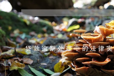 贷款逾期处理中的法律实务 贷款逾期处理中的法律实务