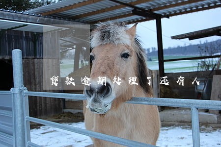 贷款逾期处理了还有人 贷款逾期处理了还有人