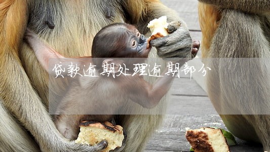 贷款逾期处理逾期部分 贷款逾期处理逾期部分