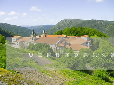 贷款逾期备案后怎么处理 贷款逾期备案后怎么处理