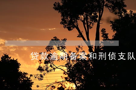 贷款逾期备案和刑侦支队