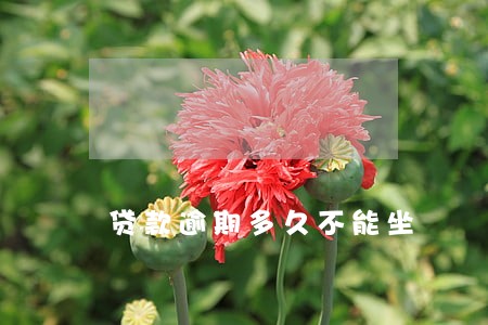 贷款逾期多久不能坐 贷款逾期多久不能坐