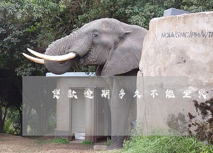 贷款逾期多久不能坐火车 贷款逾期多久不能坐火车