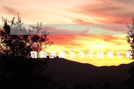 贷款逾期多久不能考公务员 贷款逾期多久不能考公务员