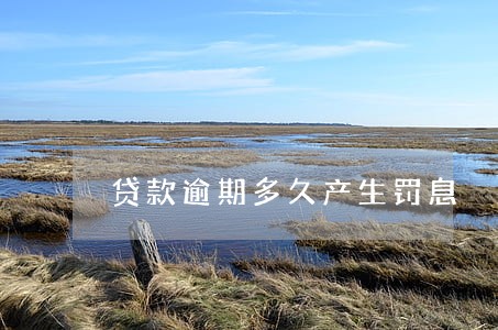 贷款逾期多久产生罚息 贷款逾期多久产生罚息