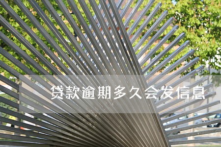 贷款逾期多久会发信息 贷款逾期多久会发信息