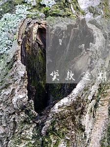 贷款逾期多久会影响个人征信 贷款逾期多久会影响个人征信