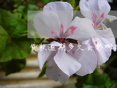 贷款逾期多久会影响征信小额 贷款逾期多久会影响征信小额
