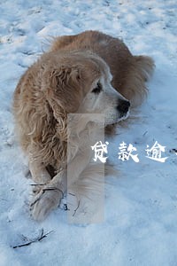 贷款逾期多久会立案 贷款逾期多久会立案