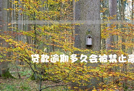 贷款逾期多久会被禁止高消费 贷款逾期多久会被禁止高消费