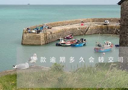 贷款逾期多久会转交司法程序 贷款逾期多久会转交司法程序