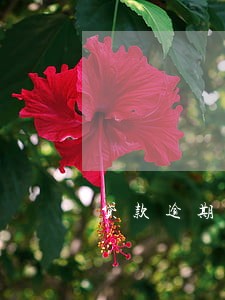 贷款逾期多久催款 贷款逾期多久催款