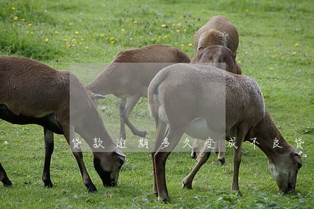 贷款逾期多久变成不良贷款 贷款逾期多久变成不良贷款