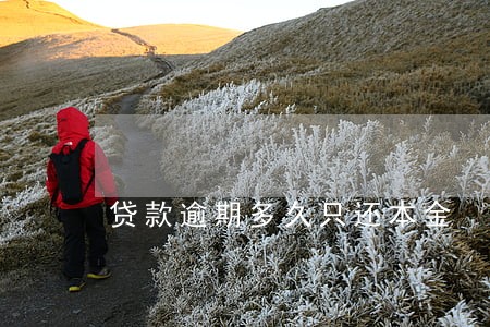 贷款逾期多久只还本金 贷款逾期多久只还本金
