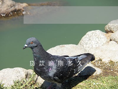贷款逾期多久可以买房子