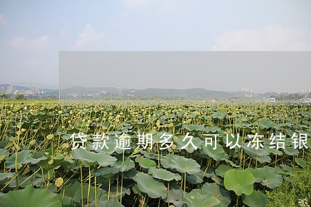 贷款逾期多久可以冻结银行卡 贷款逾期多久可以冻结银行卡