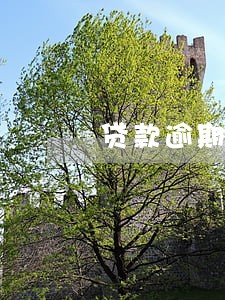贷款逾期多久可以立案 贷款逾期多久可以立案