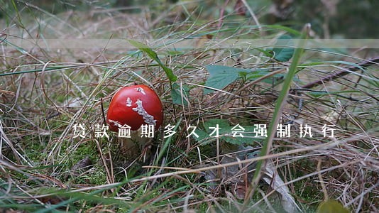贷款逾期多久才会强制执行 贷款逾期多久才会强制执行