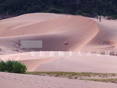 贷款逾期多久才会被代还 贷款逾期多久才会被代还