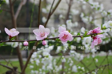 贷款逾期多久提起诉讼 贷款逾期多久提起诉讼
