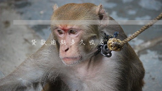 贷款逾期多久收房子 贷款逾期多久收房子