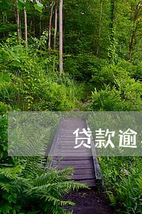贷款逾期多久未还上征信 贷款逾期多久未还上征信