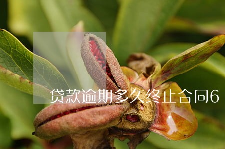 贷款逾期多久终止合同6 贷款逾期多久终止合同6