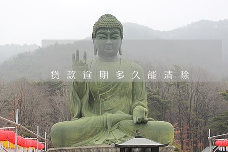 贷款逾期多久能清除 贷款逾期多久能清除