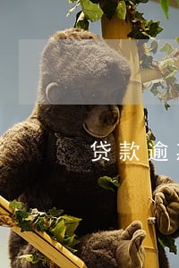 贷款逾期多久调表外 贷款逾期多久调表外