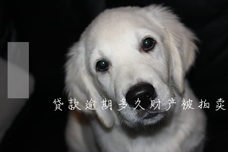 贷款逾期多久财产被拍卖 贷款逾期多久财产被拍卖