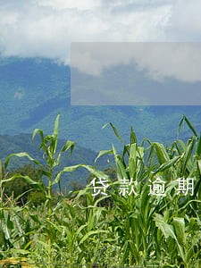 贷款逾期多久起诉有效 贷款逾期多久起诉有效