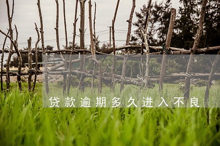 贷款逾期多久进入不良 贷款逾期多久进入不良