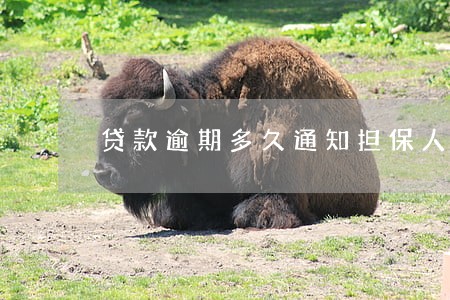 贷款逾期多久通知担保人 贷款逾期多久通知担保人