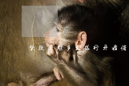 贷款逾期多久银行开始催收 贷款逾期多久银行开始催收