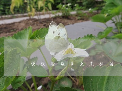 贷款逾期多久黑征信 贷款逾期多久黑征信