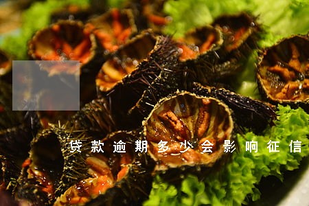 贷款逾期多少会影响征信 贷款逾期多少会影响征信