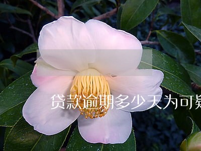 贷款逾期多少天为可疑 贷款逾期多少天为可疑